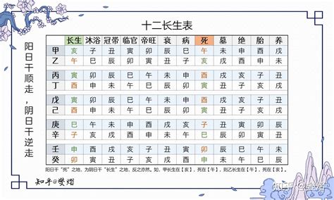 大運臨官|八字之十二長生表詳解